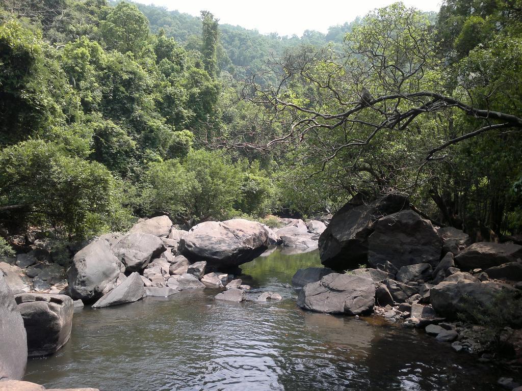 CormonemDudhsagar Plantation别墅 外观 照片