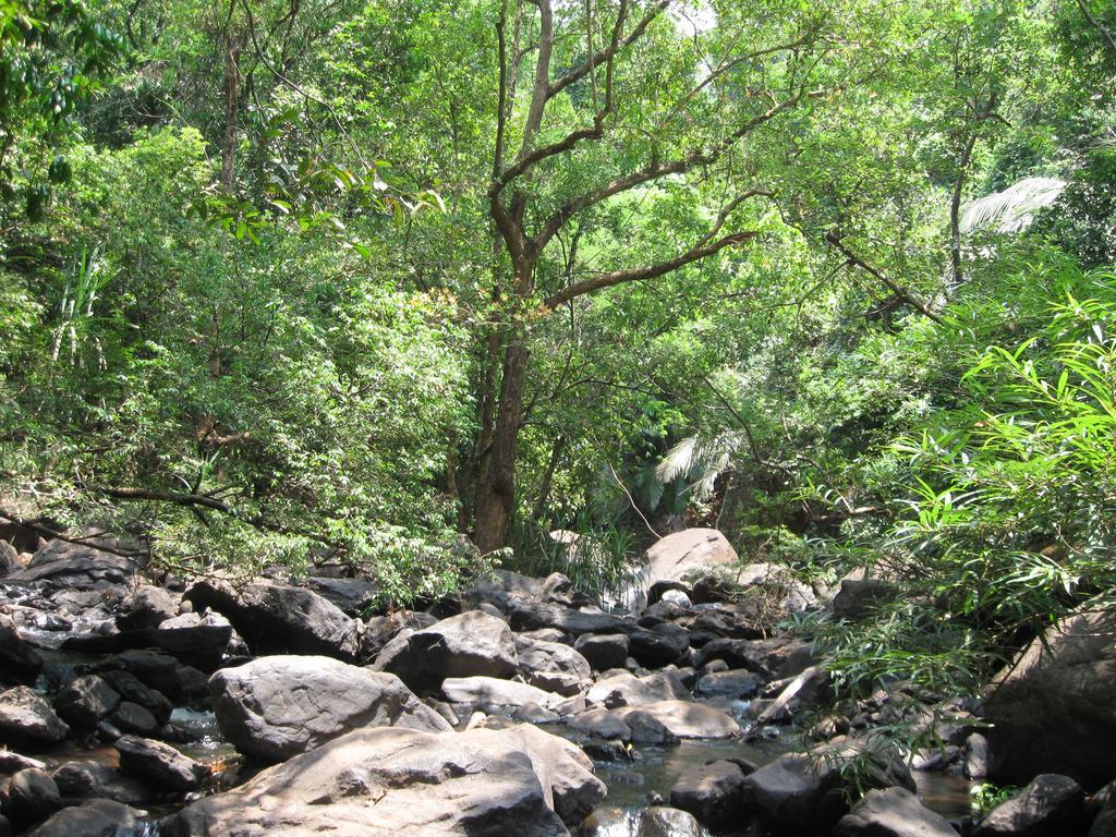 CormonemDudhsagar Plantation别墅 外观 照片