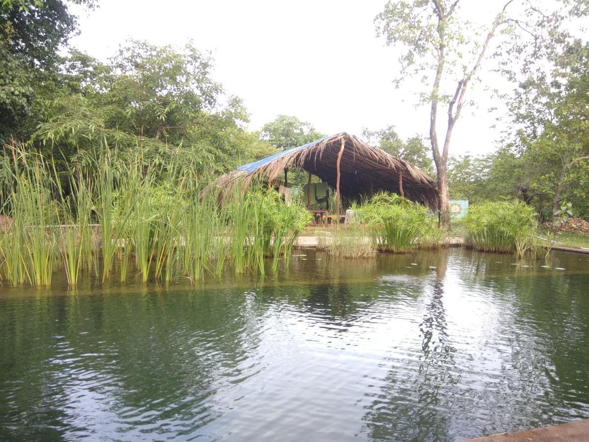 CormonemDudhsagar Plantation别墅 外观 照片