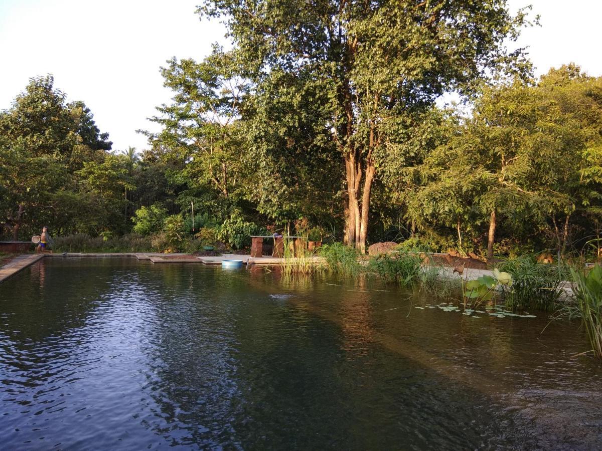 CormonemDudhsagar Plantation别墅 外观 照片